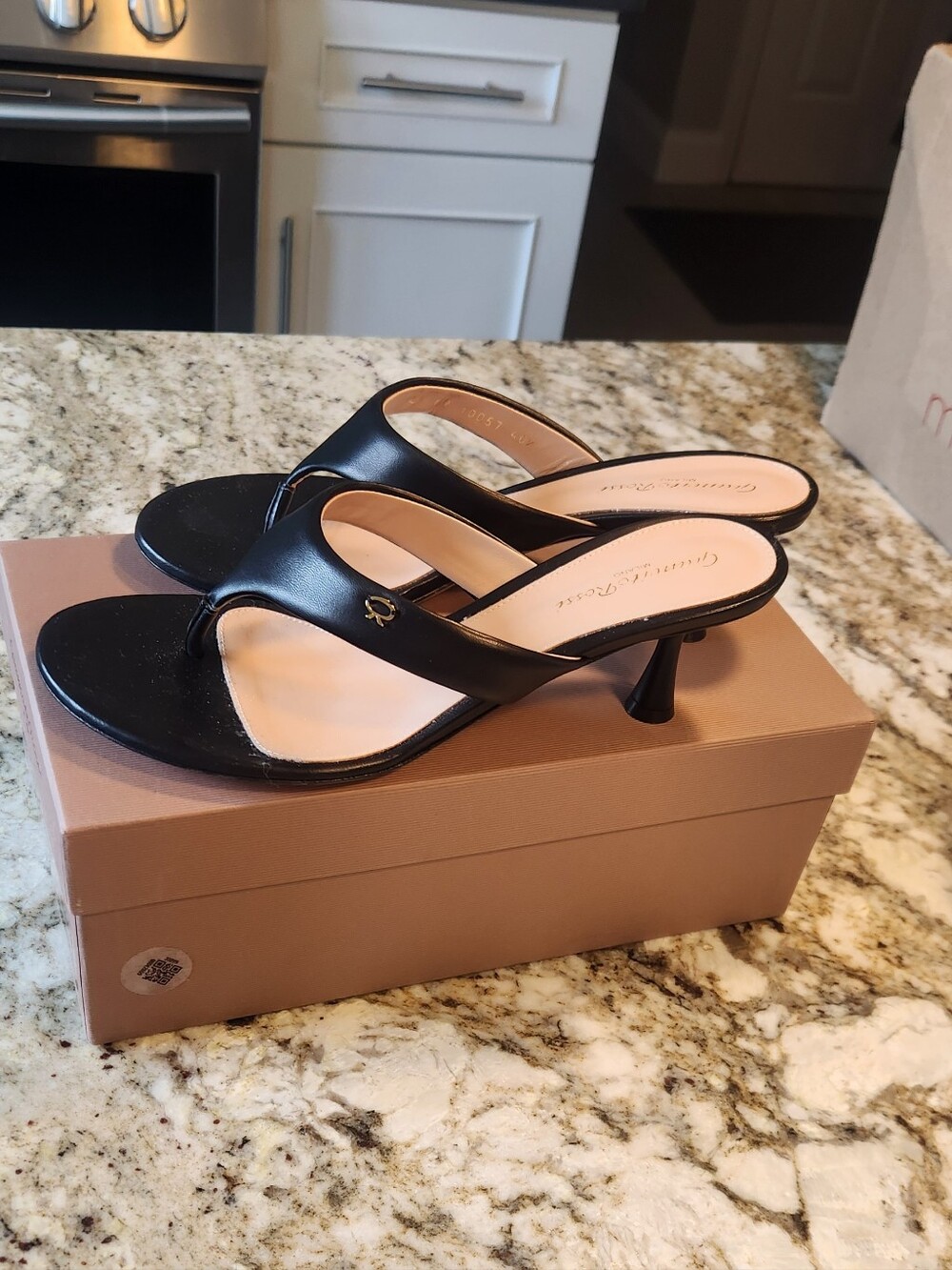Gianvito Rossi Ascent Thong Sandals